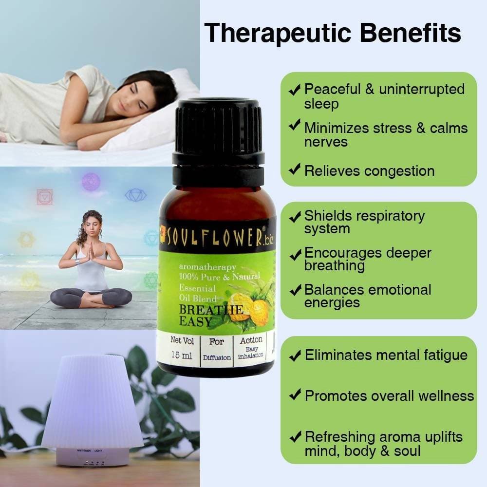 https://cdn.shopify.com/s/files/1/1857/6931/products/c4uN6uDUJ9.jpg?v=1614911247
