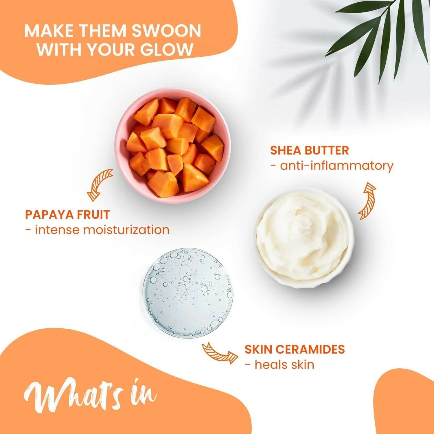 https://cdn.shopify.com/s/files/1/1857/6931/products/c5B8Ge6qWl.jpg?v=1680933132