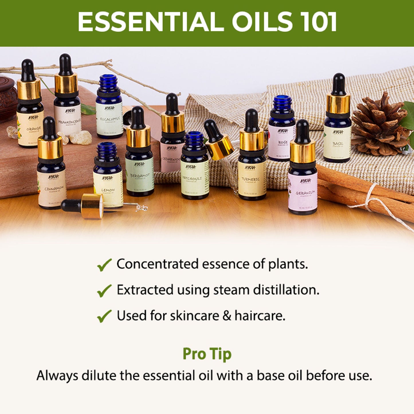 https://cdn.shopify.com/s/files/1/1857/6931/files/c640ef48904245702069_5.jpg?v=1770721686
