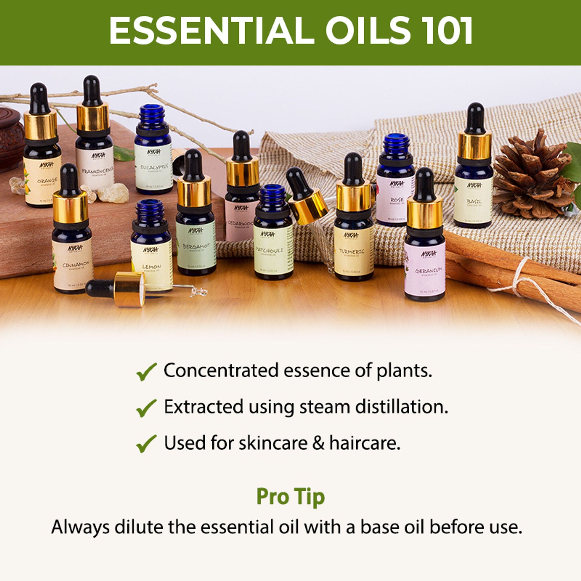 https://cdn.shopify.com/s/files/1/1857/6931/files/c640ef48904245702069_5.jpg?v=1770721686