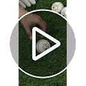 Image 2 of SG Club Leather Balls, Pack of 12