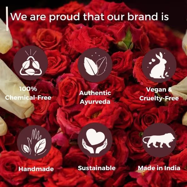 https://cdn.shopify.com/s/files/1/1857/6931/files/c659c510-864a-476d-8203-1d3362c0c1ef.jpg?v=1767772054