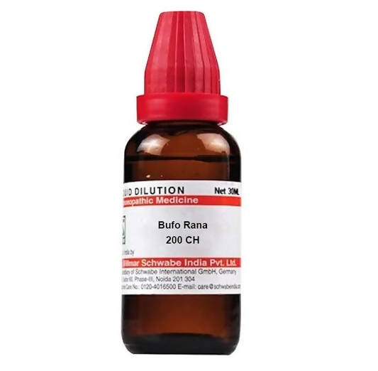 https://cdn.shopify.com/s/files/1/1857/6931/products/c6U9qXNCnK.jpg?v=1640863930