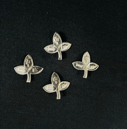Image 1 of Default Title for the product Dista Silvers Bilva Patra 4.24g (Pack of 4)