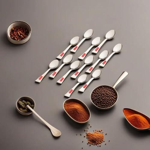 Image 1 of Default Title for the product HAZEL Stainless Steel Masala Spoons Set of 12