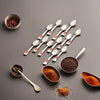 Image 1 of Default Title for the product HAZEL Stainless Steel Masala Spoons Set of 12
