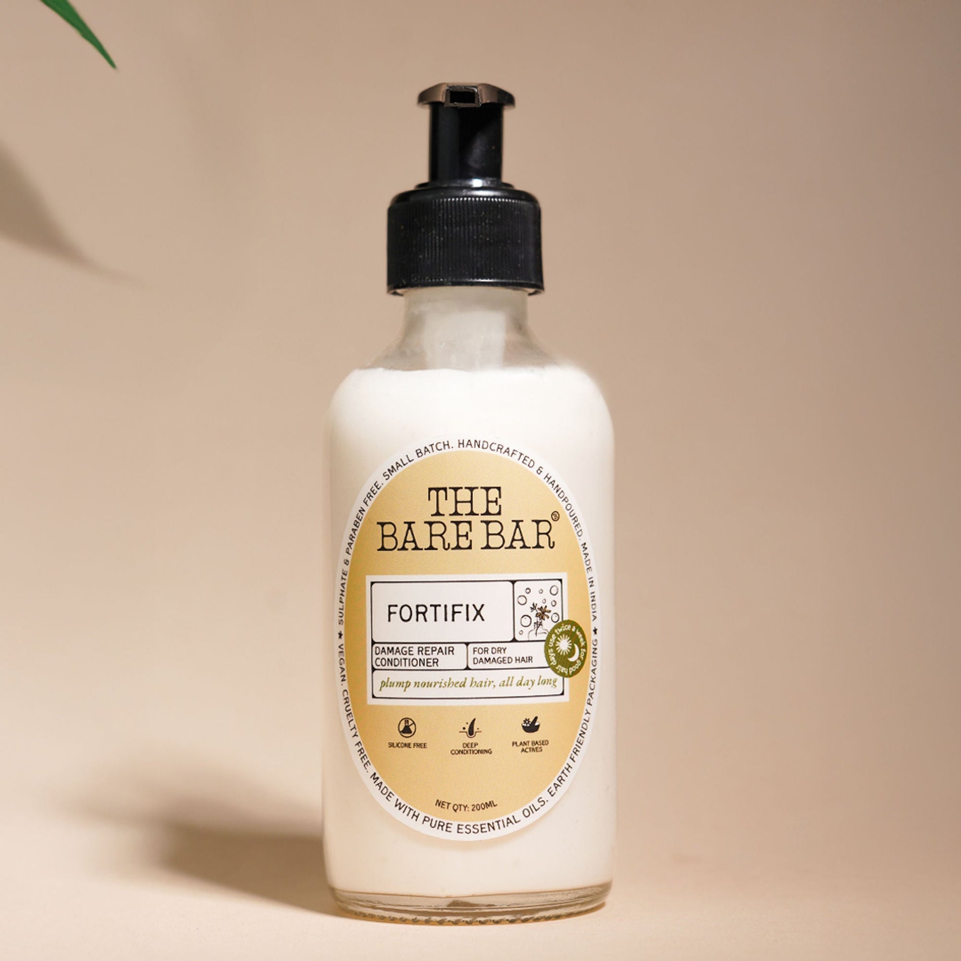 https://cdn.shopify.com/s/files/1/1857/6931/files/c8cdd88THEFV00000100ab_ab3.jpg?v=1776853759