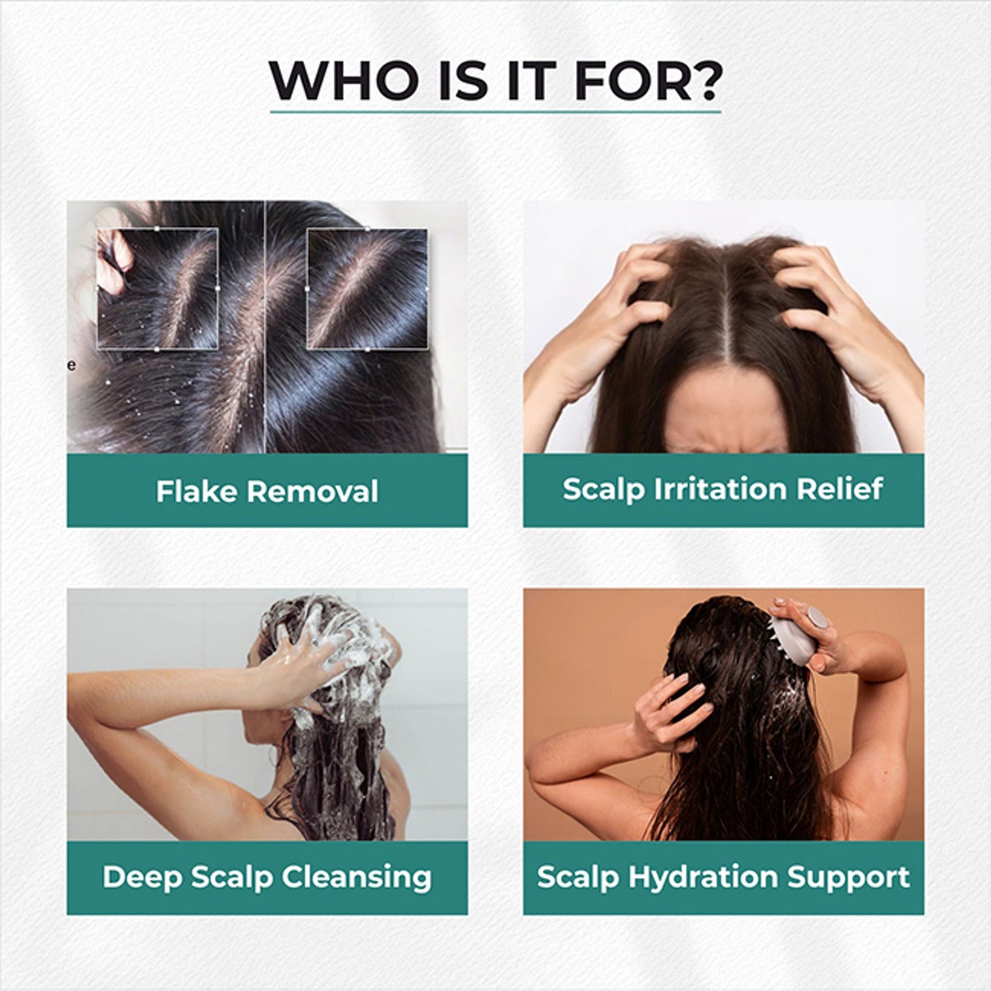 https://cdn.shopify.com/s/files/1/1857/6931/files/c940b3a7420001402727_2.jpg?v=1776255350