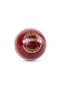 Image 1 of Ball for the product SG Bouncer Leather Cricket Ball (Red) , Standard Size