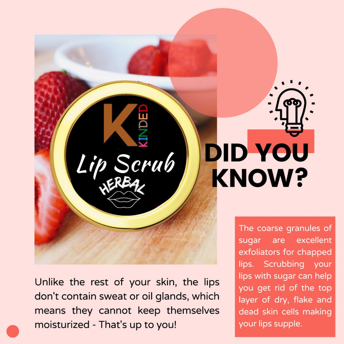 https://cdn.shopify.com/s/files/1/1857/6931/files/c9828be8906186201366_6.jpg?v=1770040028