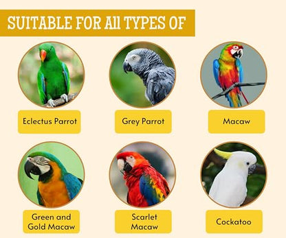 Image 13 of Foodie Puppies Parrot Bird Food for Big Parrot Birds
