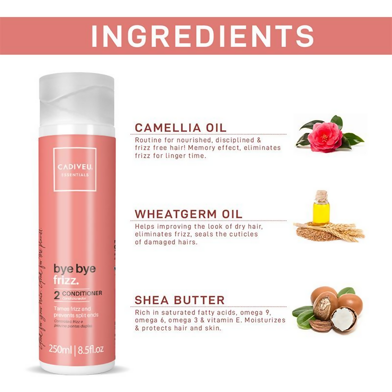 https://cdn.shopify.com/s/files/1/1857/6931/files/cBJ4kfwJsw.png?v=1722227259