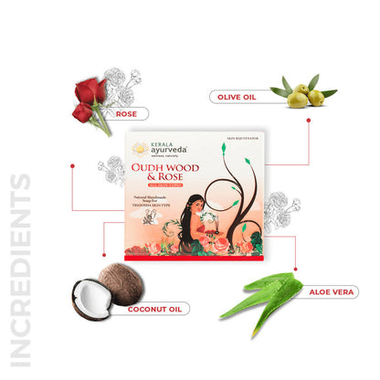 https://cdn.shopify.com/s/files/1/1857/6931/products/cDi0bx1W8f.jpg?v=1638179285