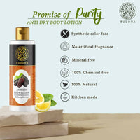 https://cdn.shopify.com/s/files/1/1857/6931/products/cGW1it32fZ.jpg?v=1677576772