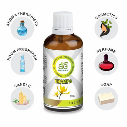 https://cdn.shopify.com/s/files/1/1857/6931/files/cIslvLzqRK-129795.jpg?v=1736143743
