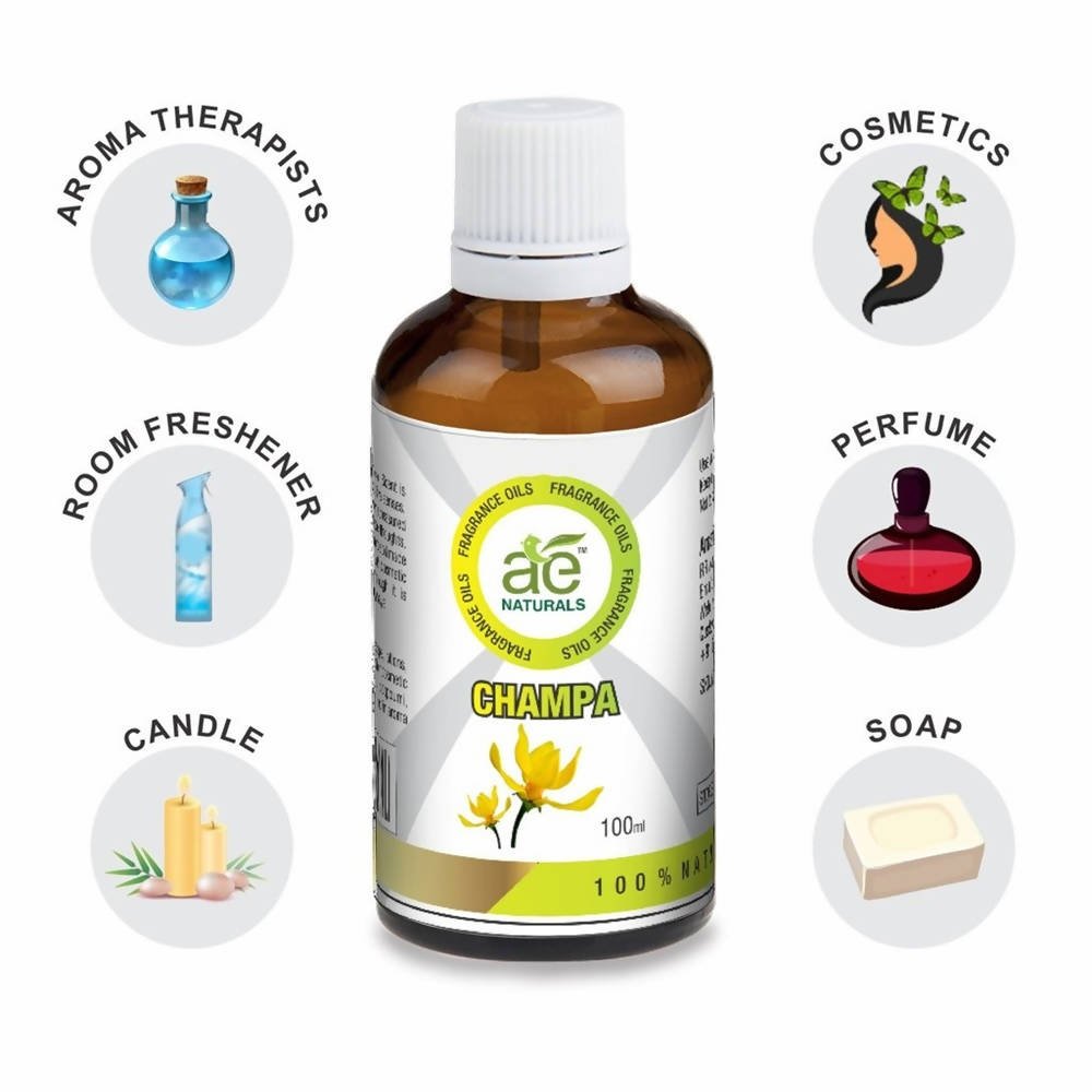 https://cdn.shopify.com/s/files/1/1857/6931/files/cIslvLzqRK-129795.jpg?v=1736143743