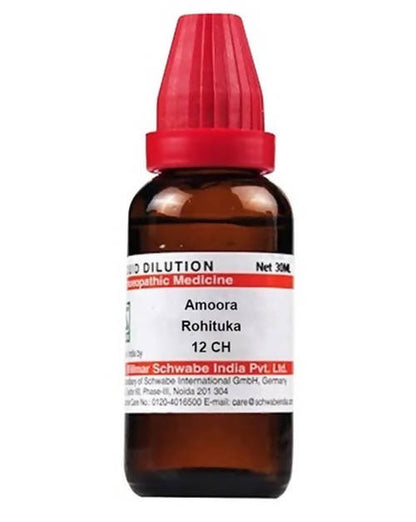 https://cdn.shopify.com/s/files/1/1857/6931/products/cJ2Y15hSfI.jpg?v=1640930396