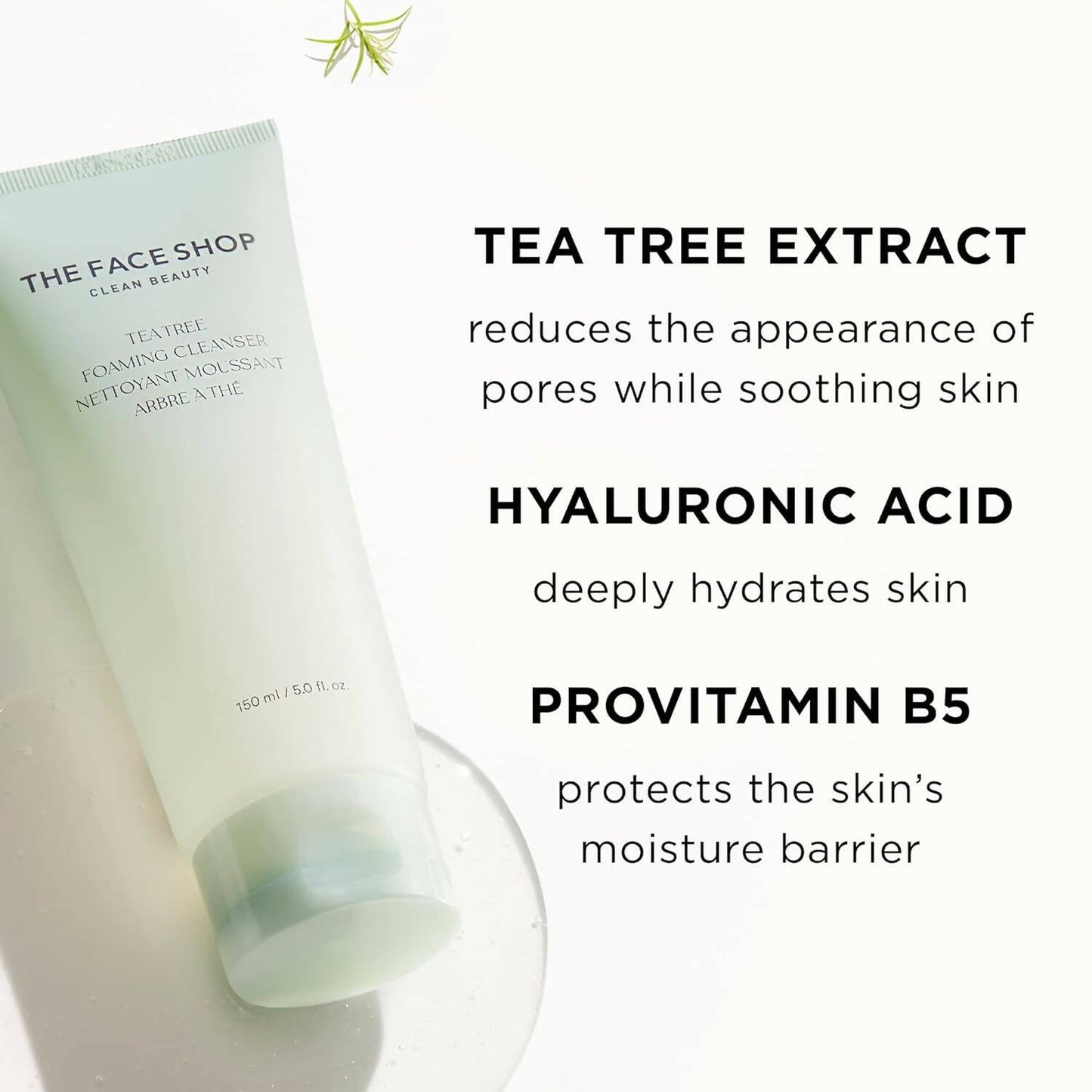 https://cdn.shopify.com/s/files/1/1857/6931/products/cJhr10VlRf.jpg?v=1707918787