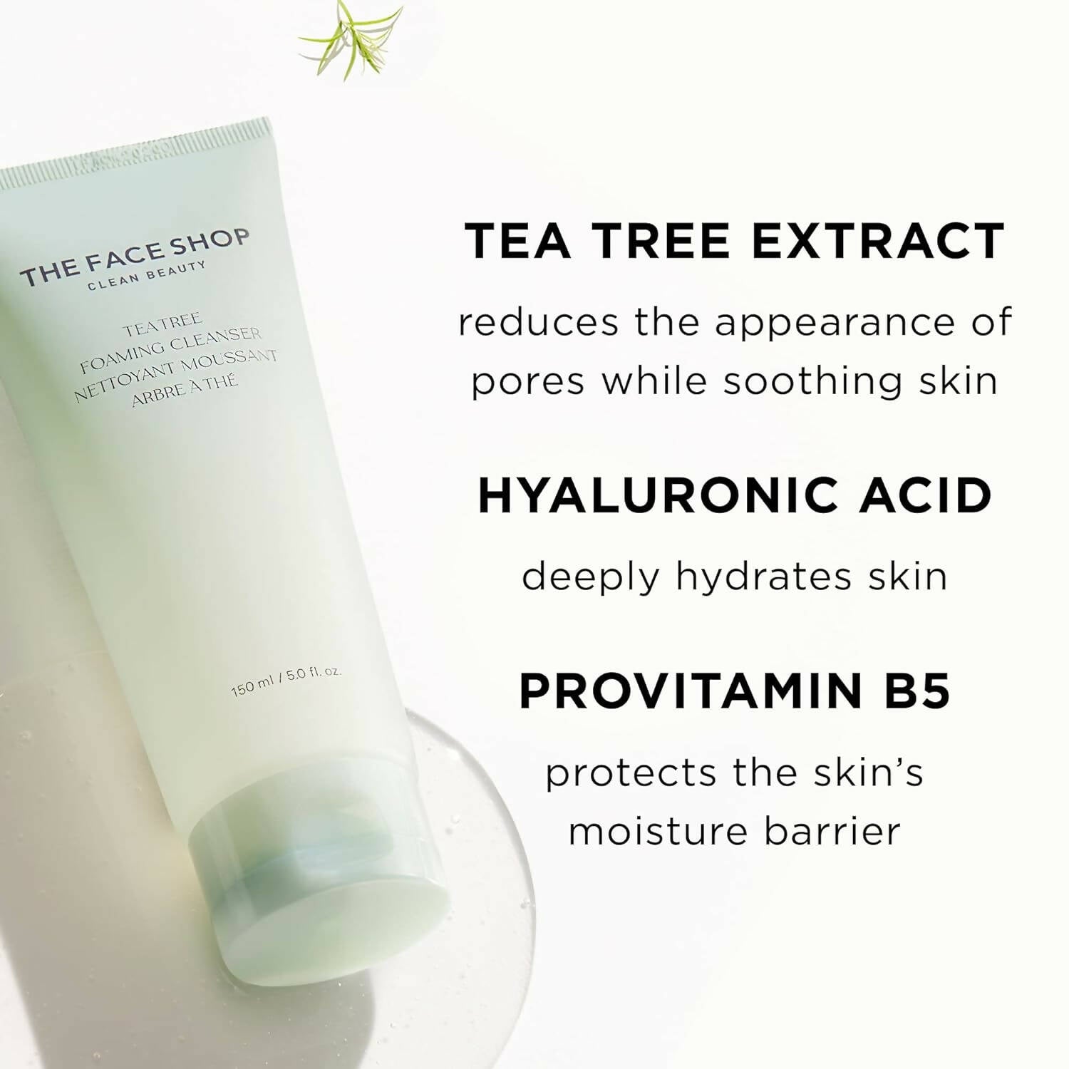 https://cdn.shopify.com/s/files/1/1857/6931/products/cJhr10VlRf.jpg?v=1707918787