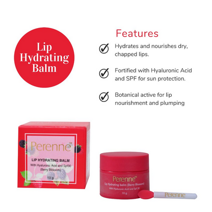 https://cdn.shopify.com/s/files/1/1857/6931/files/cKKhvc49tR.png?v=1726061038
