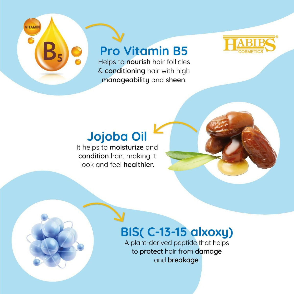 Image 4 of Habibs Professional Hair Shampoo with Jojoba Oil Botanicals For Anti Hair Fall