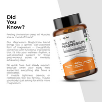 https://cdn.shopify.com/s/files/1/1857/6931/files/cLFrw3AtjW.png?v=1762932800