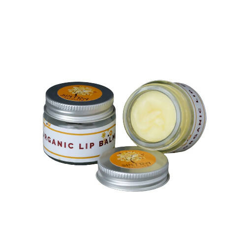 https://cdn.shopify.com/s/files/1/1857/6931/products/cNvIX9TBdu.jpg?v=1665828993