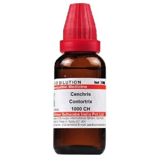 https://cdn.shopify.com/s/files/1/1857/6931/products/cOWfoRQdSs.jpg?v=1641298057