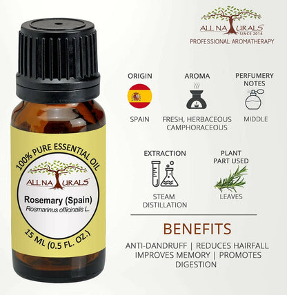https://cdn.shopify.com/s/files/1/1857/6931/files/cSOg9M5JXv-291935.jpg?v=1736146455