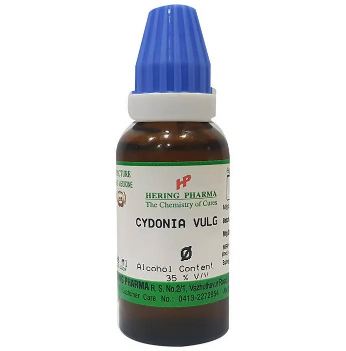 https://cdn.shopify.com/s/files/1/1857/6931/products/cSgpDY4dl2.jpg?v=1759338762