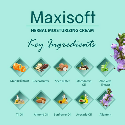 https://cdn.shopify.com/s/files/1/1857/6931/files/cTJwTDJOLy.png?v=1731567007