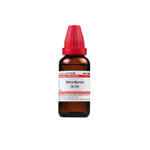 https://cdn.shopify.com/s/files/1/1857/6931/products/cVUf8GJA9i.jpg?v=1640865819