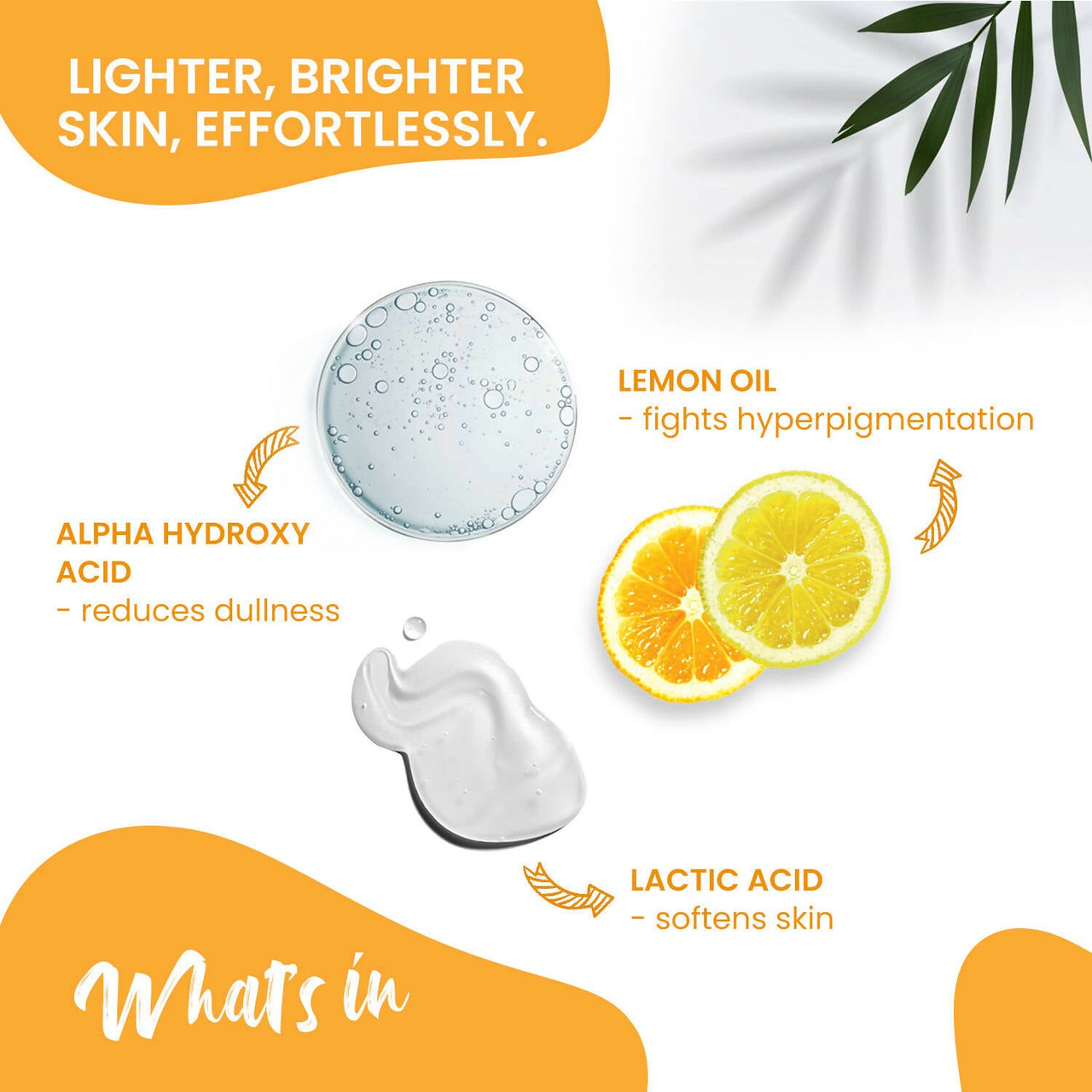 https://cdn.shopify.com/s/files/1/1857/6931/products/cVs6MZKLcV.jpg?v=1710144894