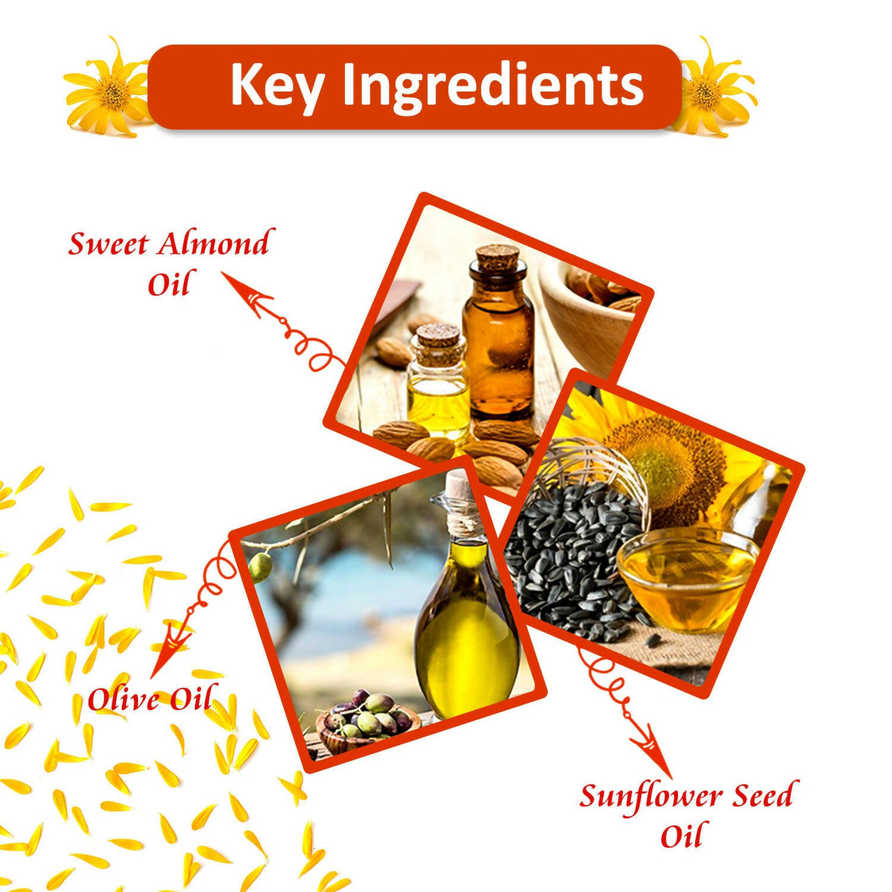 https://cdn.shopify.com/s/files/1/1857/6931/products/cWda9DndD9.jpg?v=1669359312