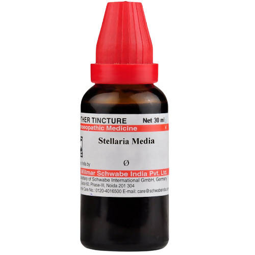 Image 1 of 30 ml for the product Dr. Willmar Schwabe India Stellaria Media Mother Tincture Q
