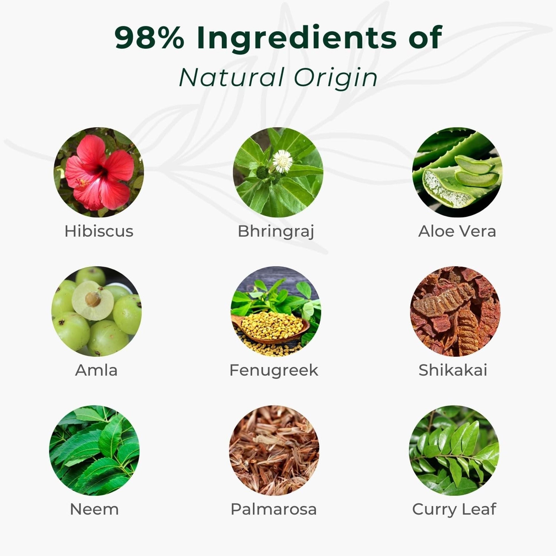 https://cdn.shopify.com/s/files/1/1857/6931/files/caaca078906042093920_5.jpg?v=1770104413