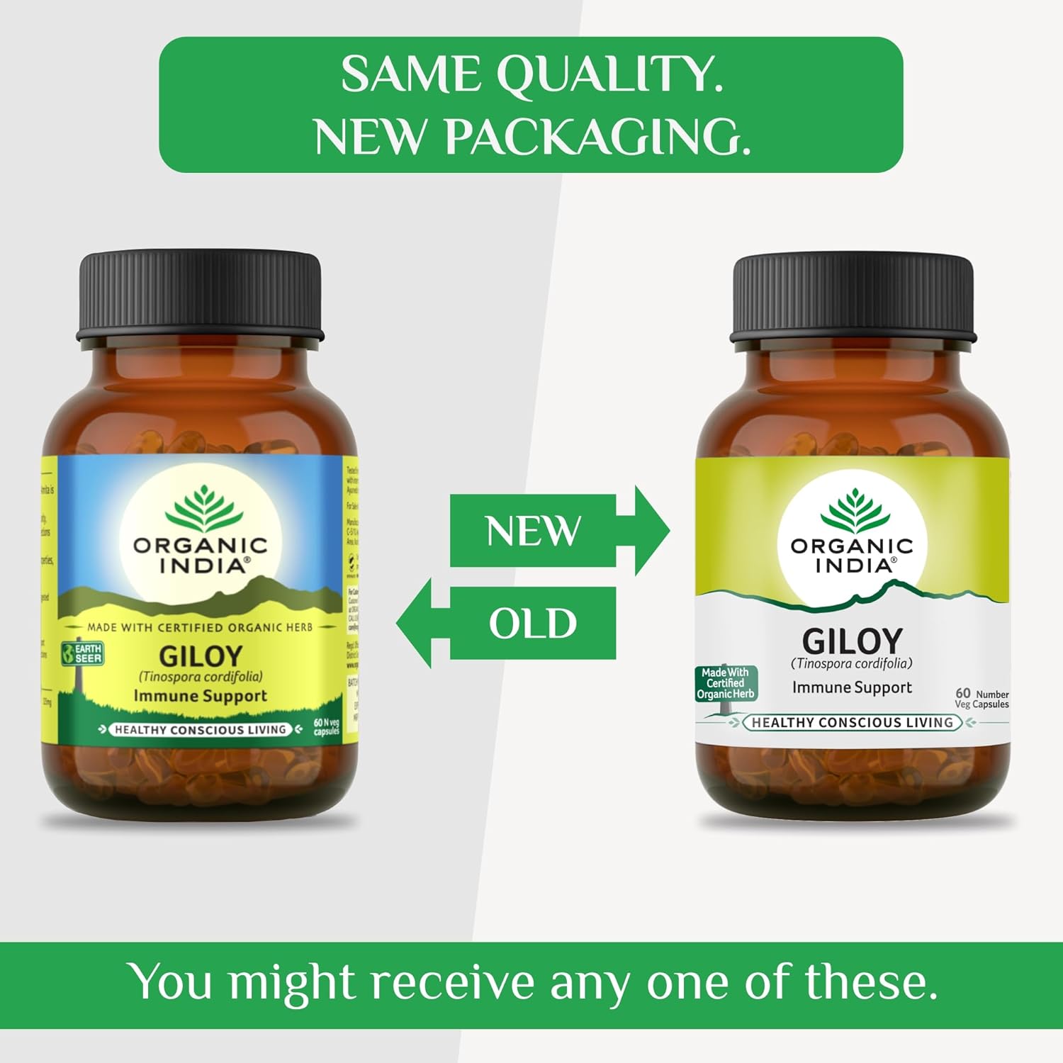 https://cdn.shopify.com/s/files/1/1857/6931/files/capsules1.jpg?v=1760683374
