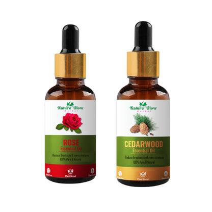 https://cdn.shopify.com/s/files/1/1857/6931/files/cb75a4c8900028100305.jpg?v=1770707709