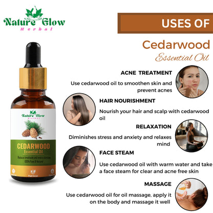 https://cdn.shopify.com/s/files/1/1857/6931/files/cb75a4c8900028100305_7.jpg?v=1770707709