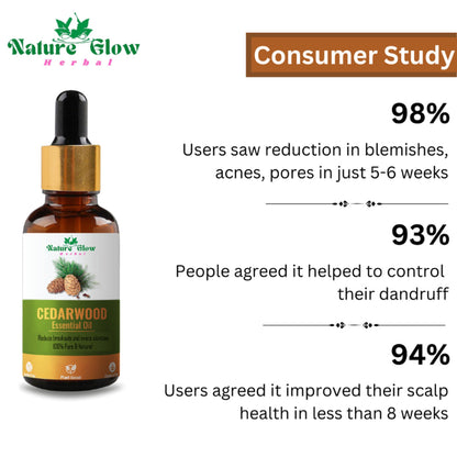 https://cdn.shopify.com/s/files/1/1857/6931/files/cb75a4c8900028100305_9.jpg?v=1770707709