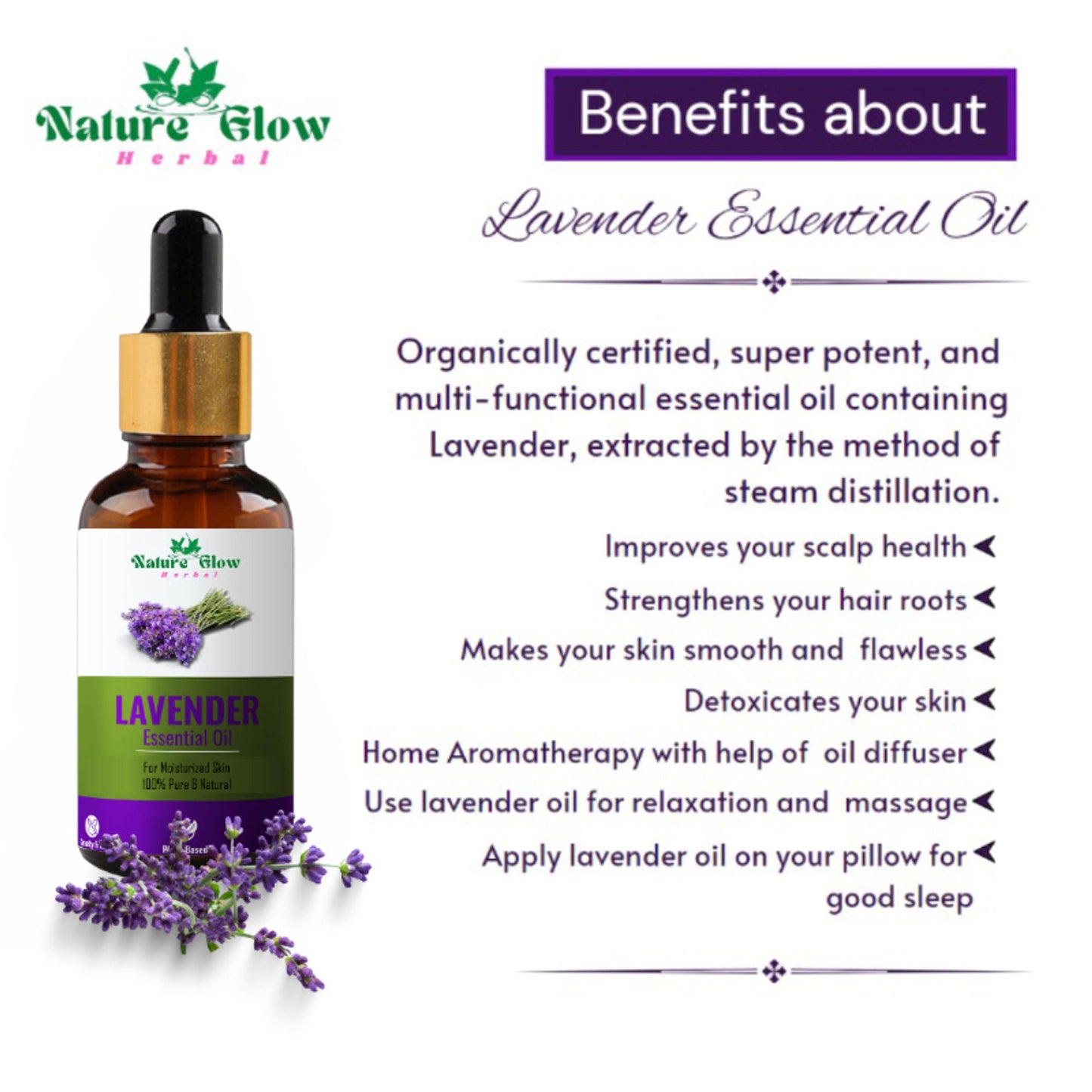 https://cdn.shopify.com/s/files/1/1857/6931/files/cb75a4c8900028100381_2.jpg?v=1770707637