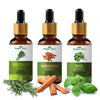 https://cdn.shopify.com/s/files/1/1857/6931/files/cb75a4c8900028100404_1.jpg?v=1770707759
