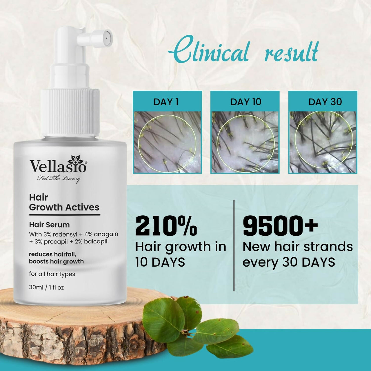 https://cdn.shopify.com/s/files/1/1857/6931/files/cbGBlvYZC4.jpg?v=1755082796