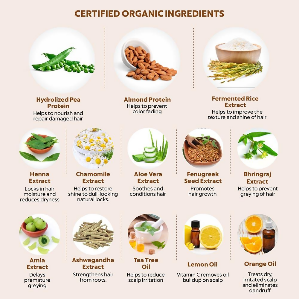 https://cdn.shopify.com/s/files/1/1857/6931/files/cbJGaswI1v.png?v=1782889201