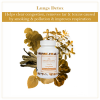 https://cdn.shopify.com/s/files/1/1857/6931/files/ceu81TtLN6.png?v=1724842748