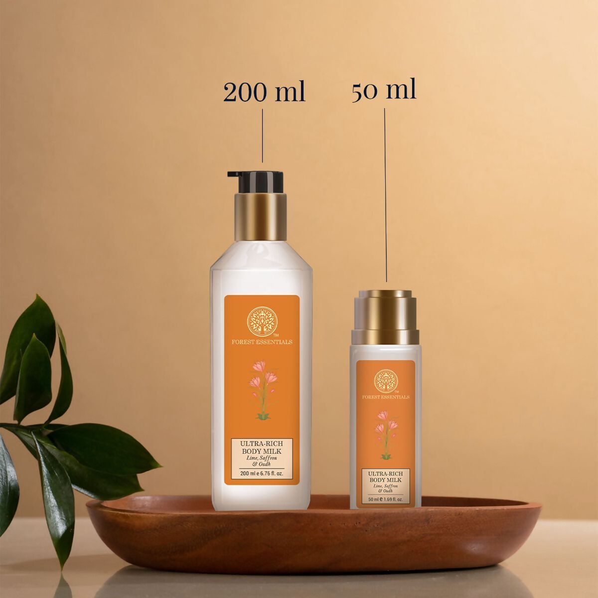 https://cdn.shopify.com/s/files/1/1857/6931/files/cfWioxsWcF.jpg?v=1713262949