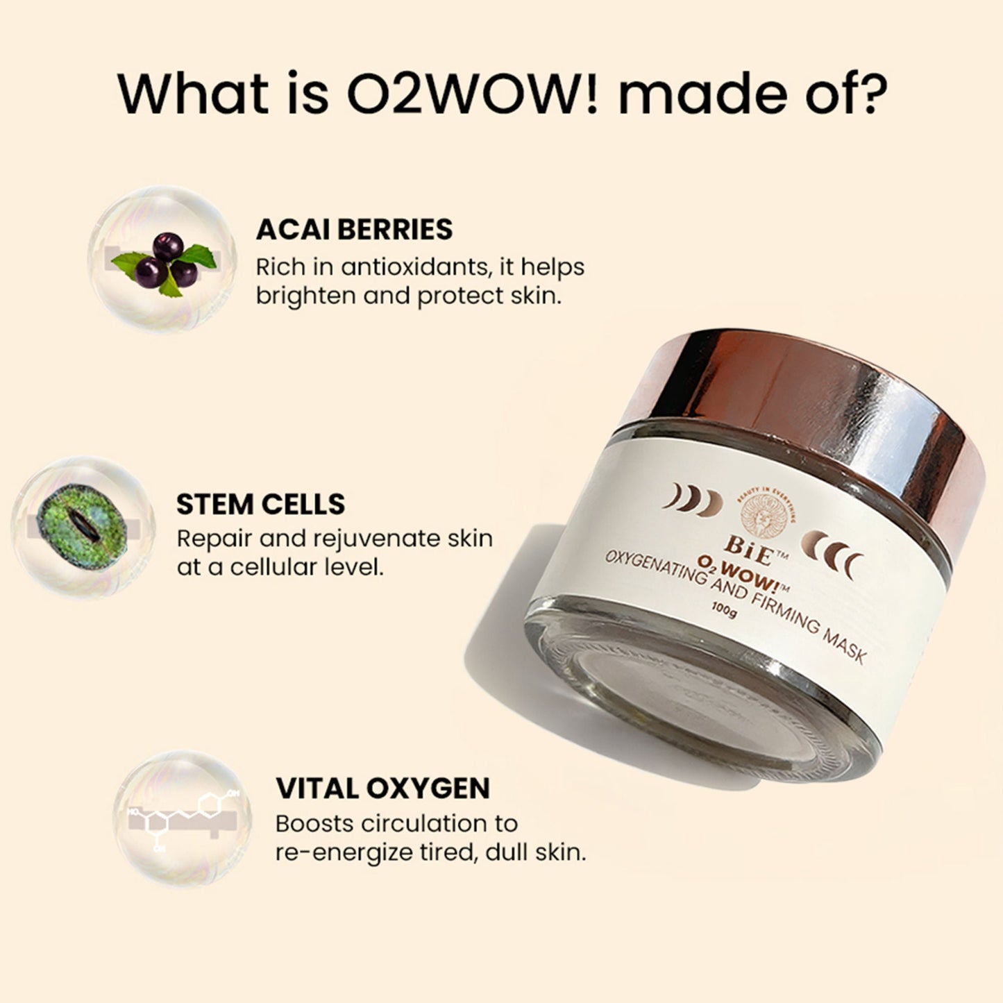 https://cdn.shopify.com/s/files/1/1857/6931/files/cfe0f998906150131170_4.jpg?v=1773826378