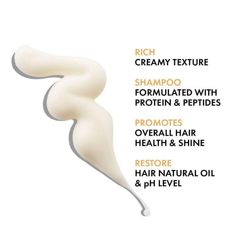 https://cdn.shopify.com/s/files/1/1857/6931/files/cjdjcKR8jZ.png?v=1721630092