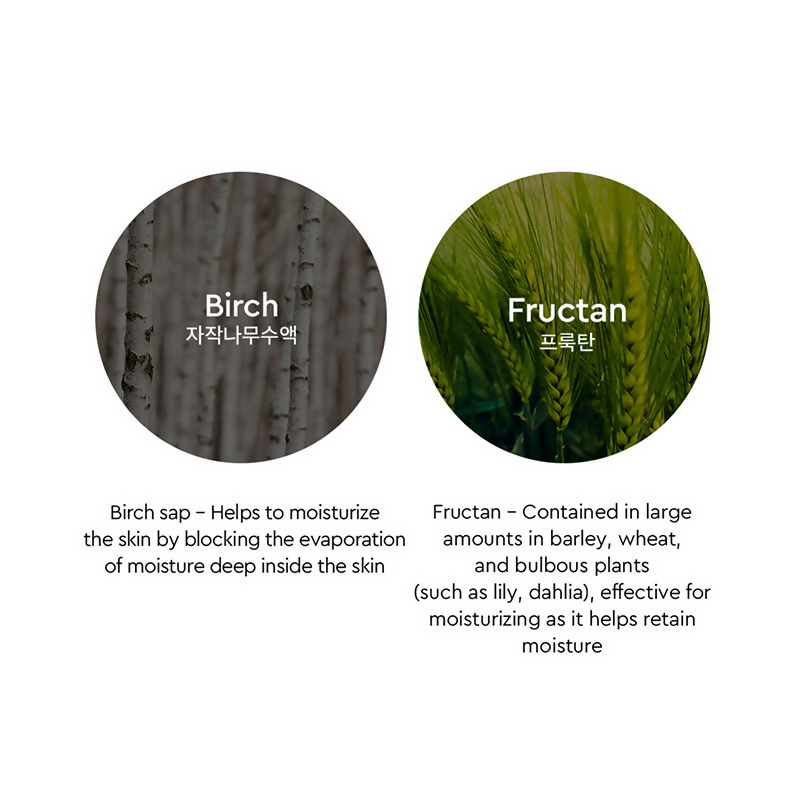 https://cdn.shopify.com/s/files/1/1857/6931/files/clgKywcZL6.png?v=1727784514