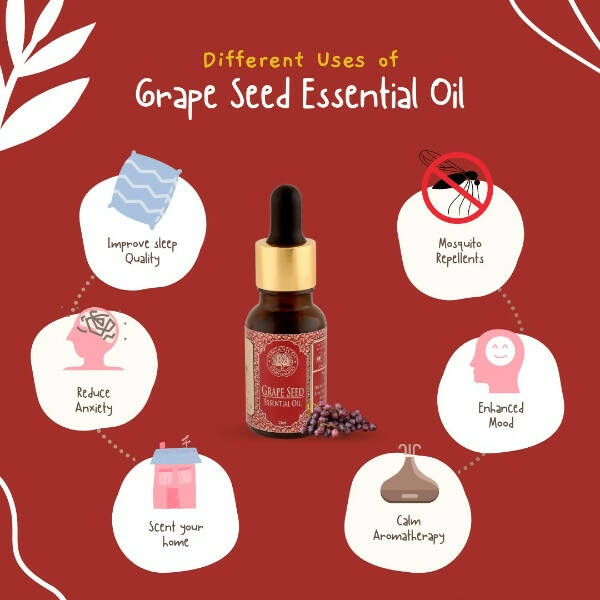 https://cdn.shopify.com/s/files/1/1857/6931/products/cmgRRdUdck.jpg?v=1663827455